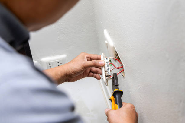 Best Ceiling Fan Installation Electrician  in Cottonwood, MN