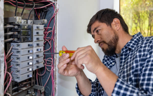 Best Electric Panel Repair  in Cottonwood, MN
